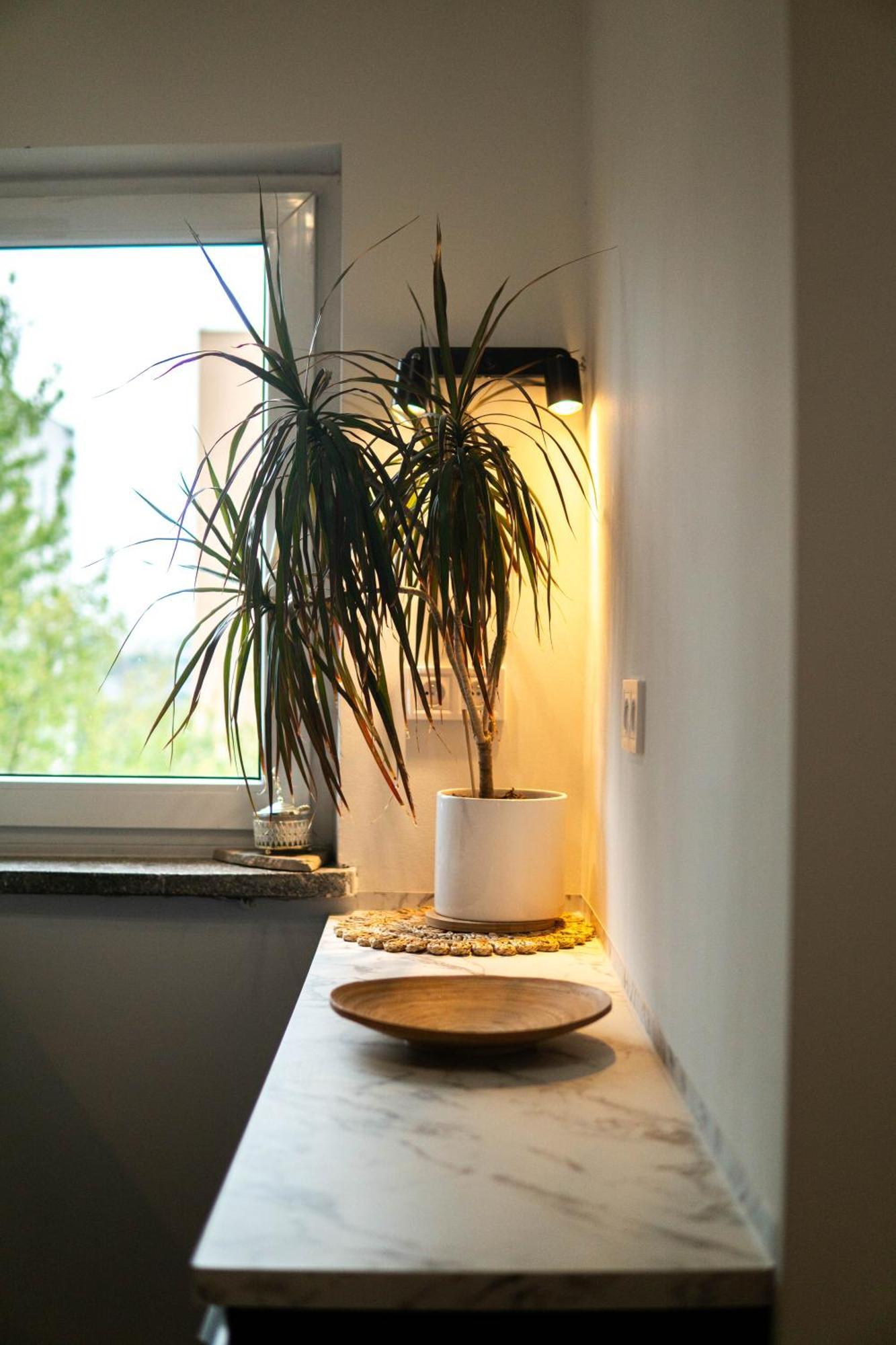 Spacious In Wola By Ecru Wwa91 Apartament